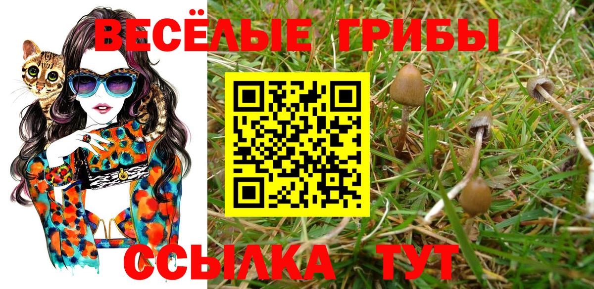 Саранск  Псилоцибиновые грибы Magic Shrooms  Вход с VPN 