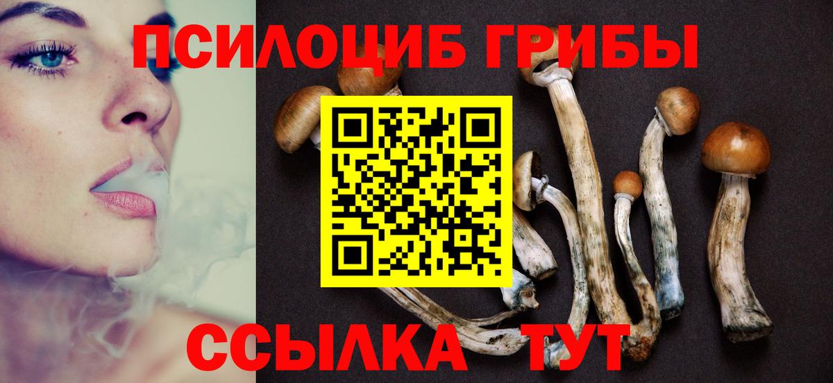 Галлюциногенные грибы MAGIC MUSHROOMS Саранск